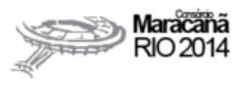 Logomarca Consórcio Maracanã Rio 2014